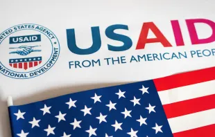 logo de USAID y bandera de Estados Unidos Crédito: VGV MEDIA - Shutterstock