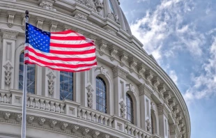 El Capitolio de los Estados Unidos en Washington D.C. Crédito: Andrea Izzotti/Shutterstock,