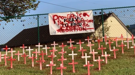 Vandalismo contra exhibición provida