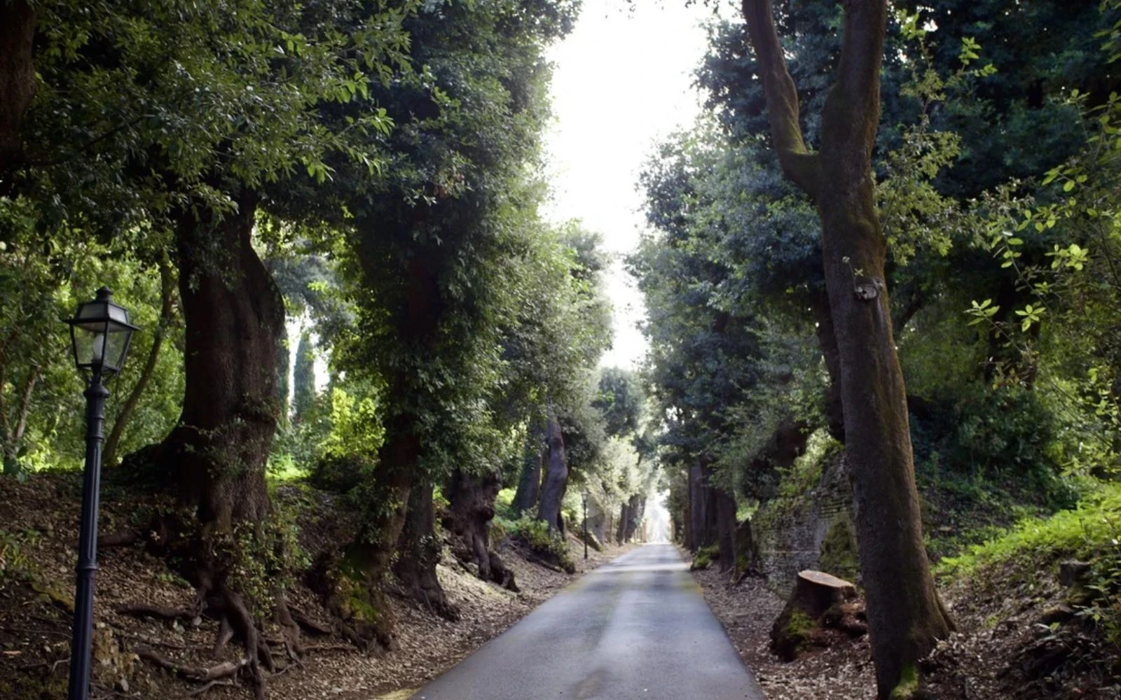 Los Jardines Vaticanos en Castel Gandolfo (Italia).?w=200&h=150