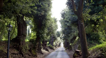 Jardines Vaticanos en Castel Gandolfo