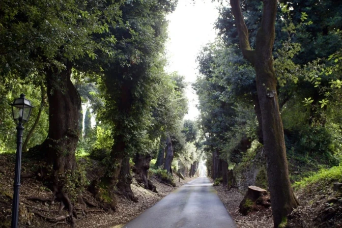 Jardines Vaticanos en Castel Gandolfo