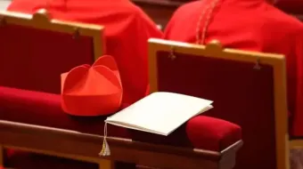 Vaticano corrige fecha de nacimiento de cardenal, podría ser elector por dos años más.