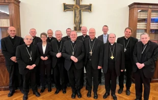 Representantes de la Curia Romana y de la Conferencia Episcopal Alemana se reúnen para discutir el proyecto de estatuto de la Conferencia Sinodal en el Vaticano el miércoles 12 de noviembre de 2025. Crédito: Deutsche Bischofskonferenz/Kopp.