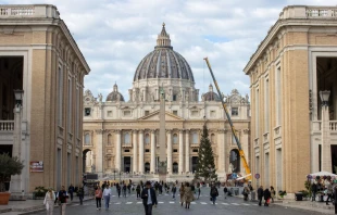 El árbol de Navidad en la Plaza de San Pedro Crédito: Daniel Ibáñez/ ACI Prensa