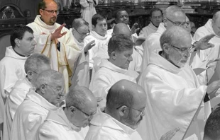 El P. Víctor Bernárdez falleció el 28 de marzo de 2024, Jueves Santo. Crédito: Diócesis de Orense.