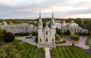El centro Mother Cabrini Institute on Immigration se inspira en el legado de la primera santa estadounidense Crédito: Mother Cabrini Institute on Immigration