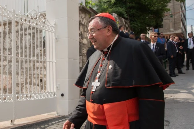 Cardenal Vinko Puljić