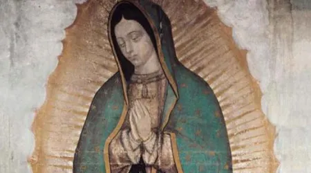 Virgen de Guadalupe 11122023