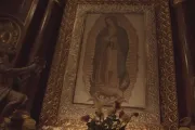 Maria de Guadalupe 12122023