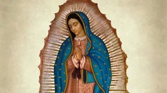 La Virgen de Guadalupe.