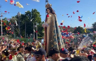 Virgen de Lo Vásquez Crédito: Conferencia Episcopal de Chile