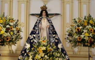 Virgen de Lo Vásquez Crédito: Obispado de Valparaíso