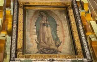 Imagen original de Nuestra Señora de Guadalupe aparecida milagrosamente en la tilma de San Juan Diego en 1531, conservada en la Basílica de Guadalupe en Ciudad de México. Crédito: David Ramos/ACI Prensa.
