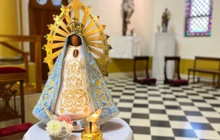 Nuestra Señora de Luján Crédito: Julieta Villar