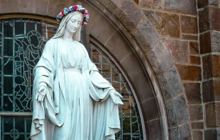 Imagen refrencial. Crédito: Maria Oswalt / Unsplash.