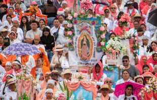 Peregrinación con imagen de la Virgen de Guadalupe. Crédito: Insigne y Nacional Basílica de Santa María de Guadalupe