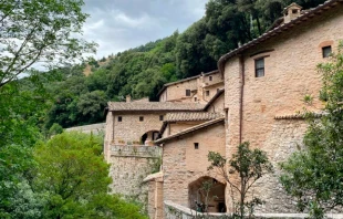 Vista de Eremo delle Carceri, Asís, Italia, julio de 2025. Crédito: Emma Silvestri.