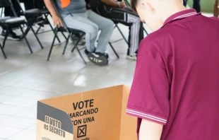 Imagen referencial de una persona votando. Crédito: Tribunal Supremo de Elecciones