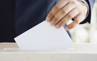 La CEP subrayó la importancia del voto, a pesar de las incongruencias del sistema y de algunos líderes. Crédito: Shutterstock.