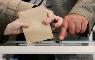 Imagen referencial. Cru00e9dito: Unsplash 