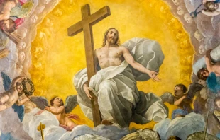 null Shutterstock / Vivida Photo PC