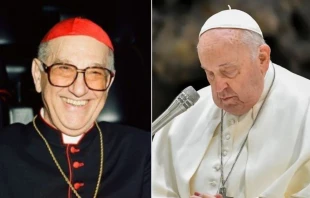 Cardenal Sergio Sebastiani/ Papa Francisco Crédito: Vatican Media