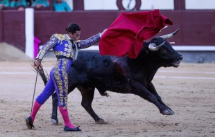 Concluye en España el I Encuentro Internacional de Sacerdotes y Capellanes Taurinos. Crédito: Shutterstock