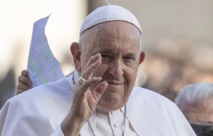 El Papa Francisco saluda a los fieles El Papa Francisco saluda a los fieles