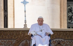 Quince días después de su última aparición pública, el Santo Padre reapareció entre los fieles Crédito: Daniel Ibañez/ EWTN News