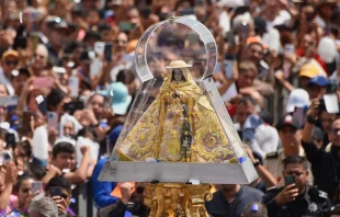 Romeria de la Virgen de Zapopan. Crédito: Prensa Arzobispado de Guadalajara