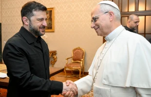 El Papa saluda a Zelenski en Castel Gandolfo Crédito:Vatican Media